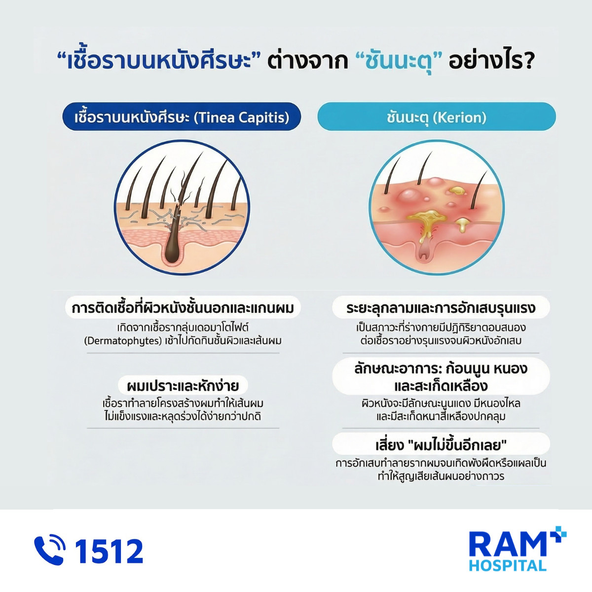 เชื้อราบนหัวลูก