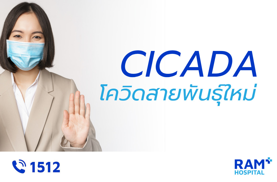 โควิด cicada