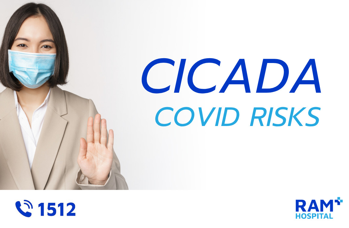 cicada covid