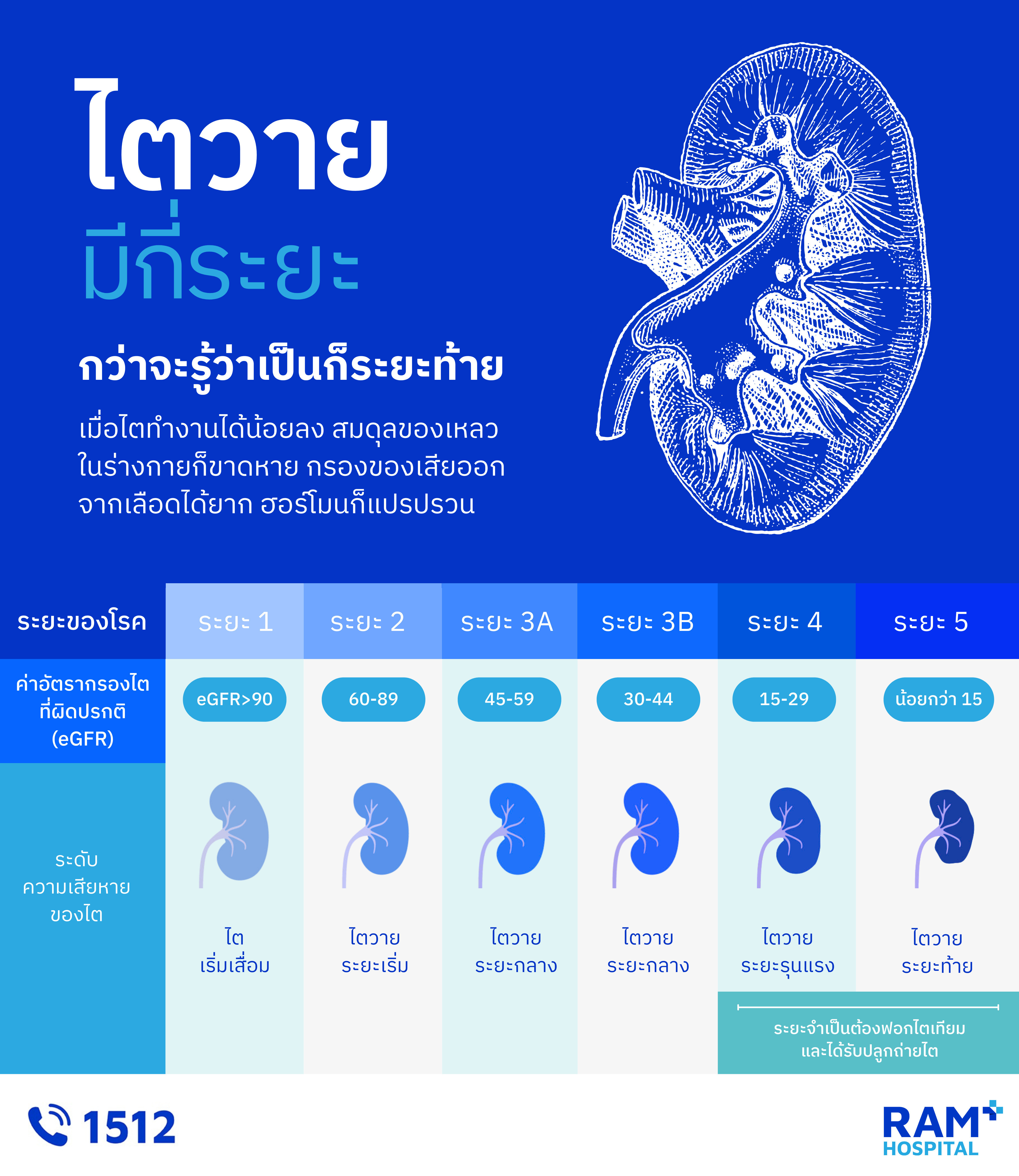 ไตวาย