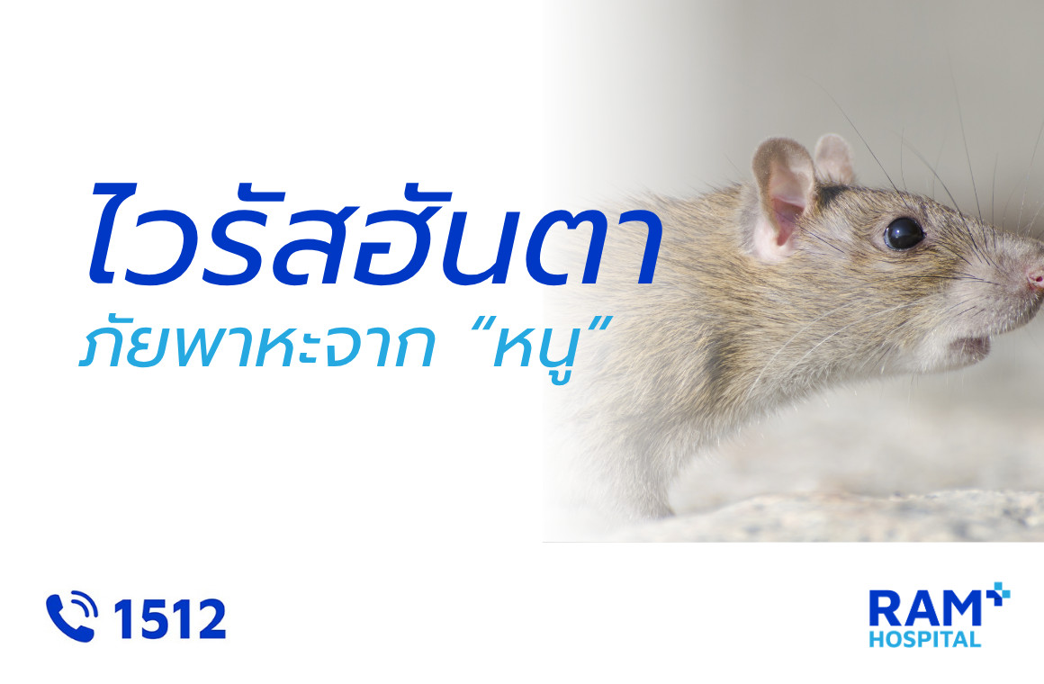 ไวรัสฮันตา