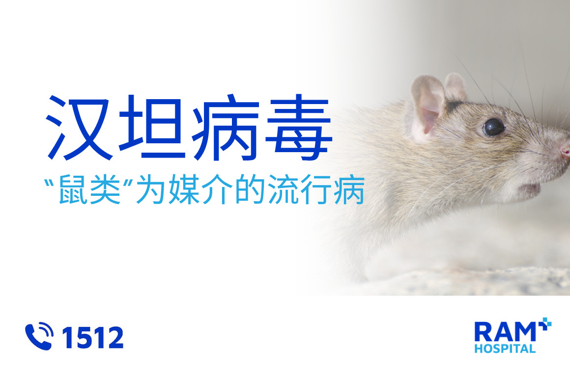 汉坦病毒