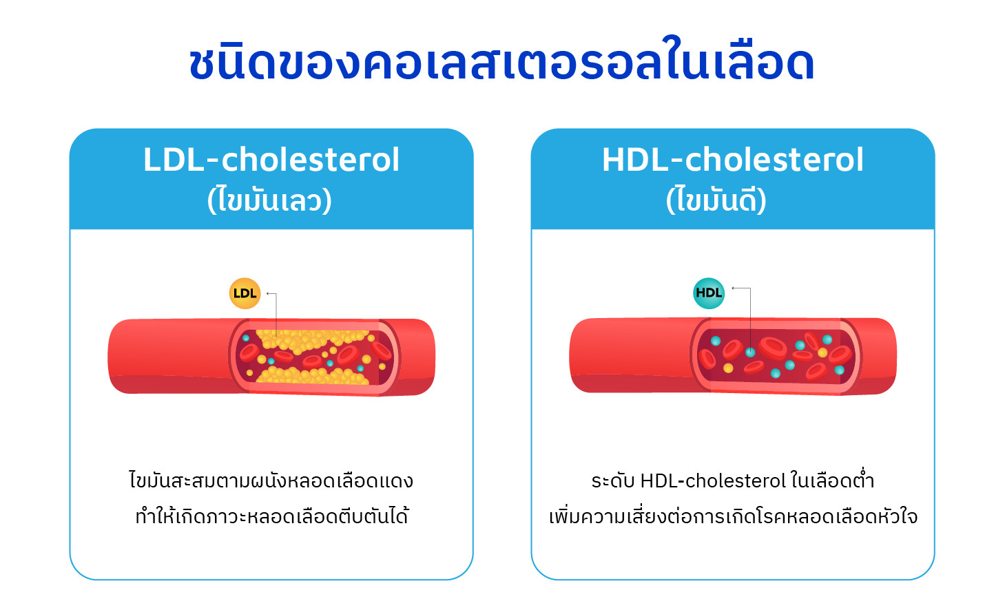 ชนิดของคอเลสเตอรอล