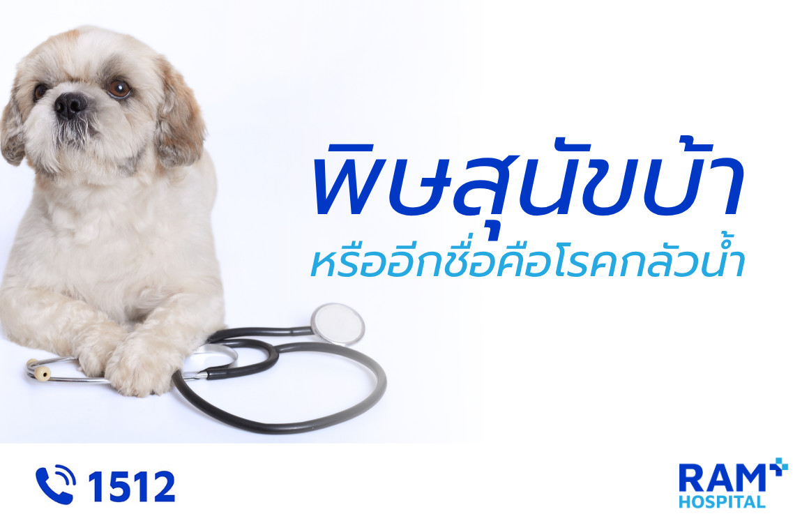 โรคพิษสุนัขบ้า