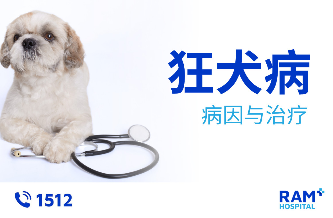 狂犬病