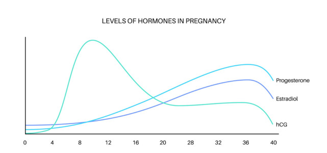 Safe Travel During Pregnancy