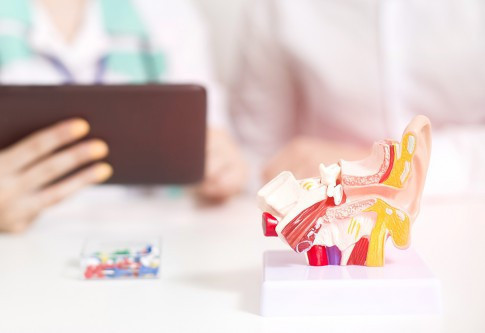 耳鼻喉内镜手术中心