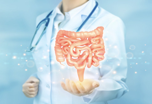 Gastrointestinal-Endoscopy Center