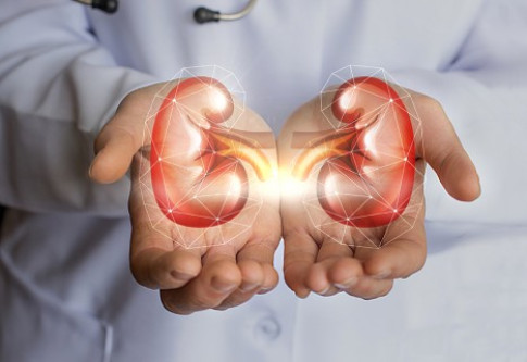 Kidney Transplant Center